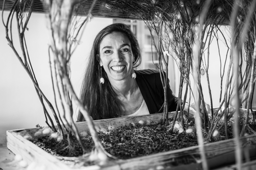 Private gallery for Delphine MARGUERIT - MUSEE DU VERASOIE - LAGORCE