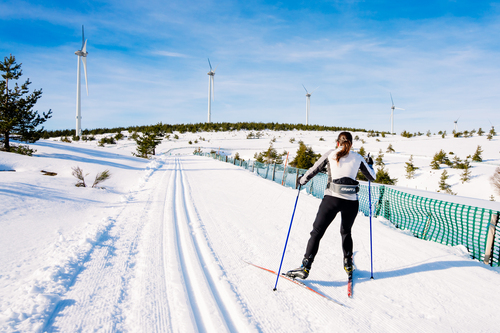 Private gallery for DOMAINE NORDIQUE DE LA CHAVADE