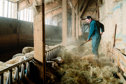 Private gallery for FAMILLE BOURDELY, ELEVEUR 