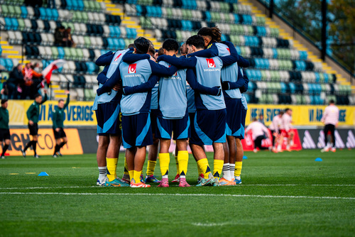 Client gallery for Landskamp sverige polen