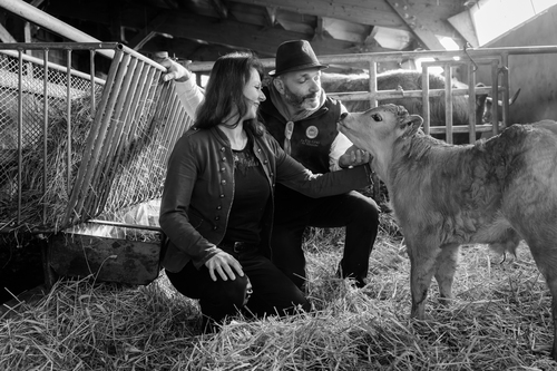 Private gallery for MAISON VERNET 